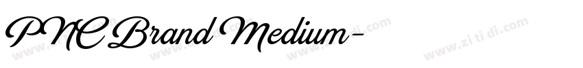 PNC Brand Medium字体转换